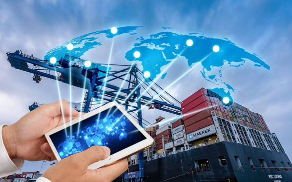 617bb573c3c90.png 617bb573c3c90.png