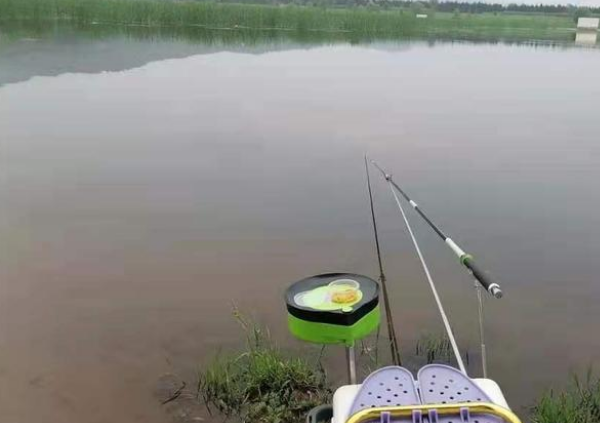 625e7672ced37.png 625e7672ced37.png