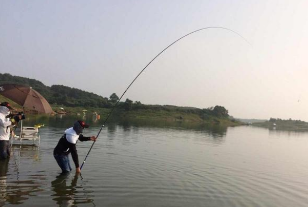 62a84dd67dbb3.png 62a84dd67dbb3.png