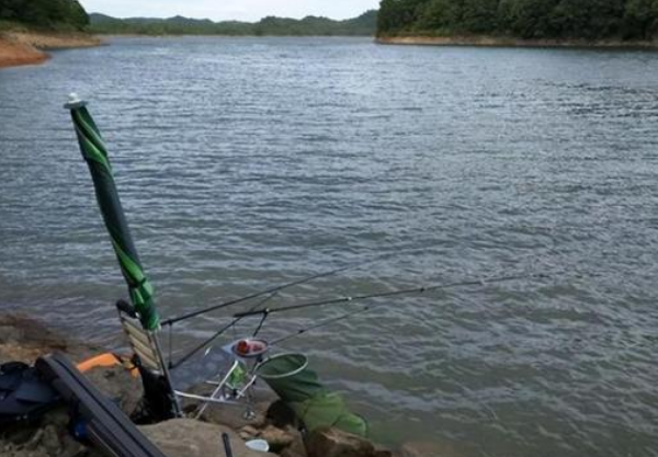 62c6a145b0d92.png 62c6a145b0d92.png