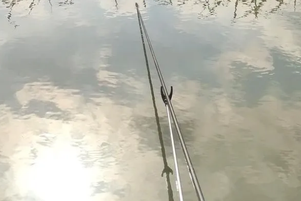 6392f667eb087.png 6392f667eb087.png