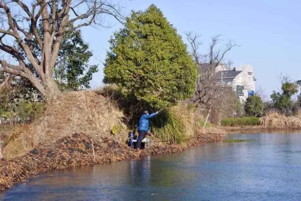 63c1149b003bf.png 63c1149b003bf.png