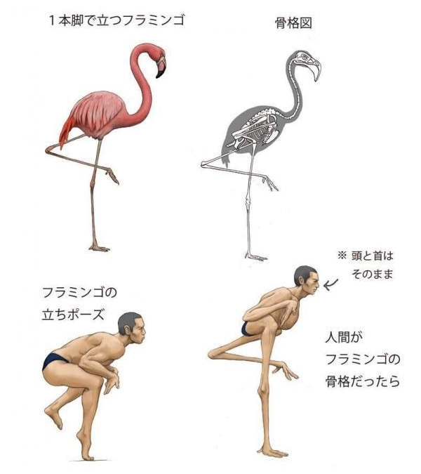 63eca0b389cc9.png 63eca0b389cc9.png