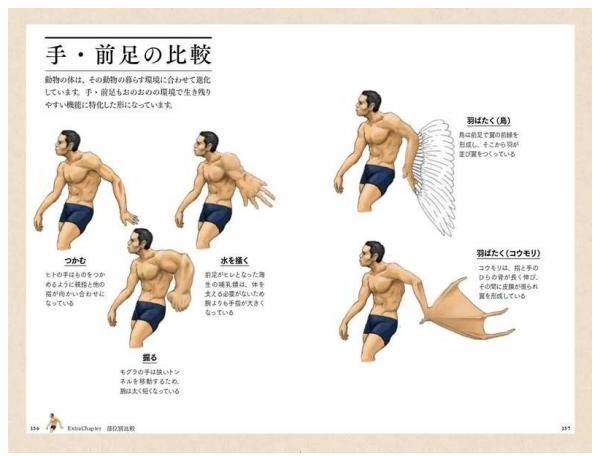 63eca0d8cc39f.png 63eca0d8cc39f.png