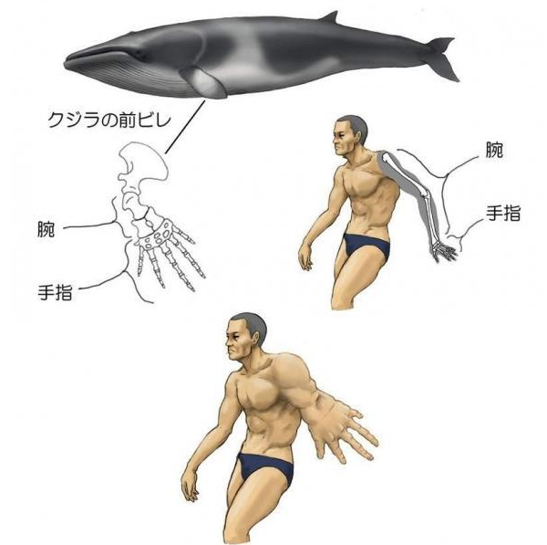 63eca0ee816a5.png 63eca0ee816a5.png