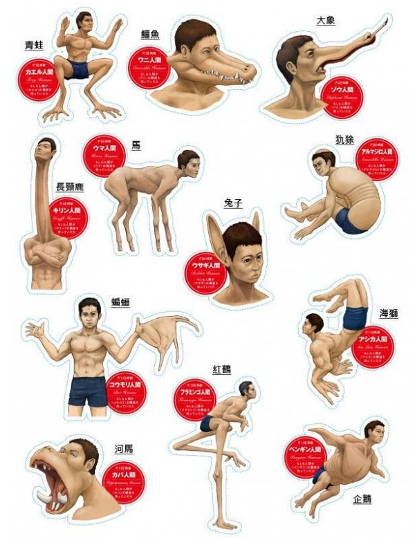 63eca1282e1e4.png 63eca1282e1e4.png