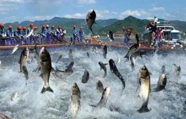 641175a4c26e0.jpg 641175a4c26e0.jpg