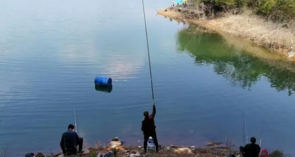 65fd370648e26.png 65fd370648e26.png