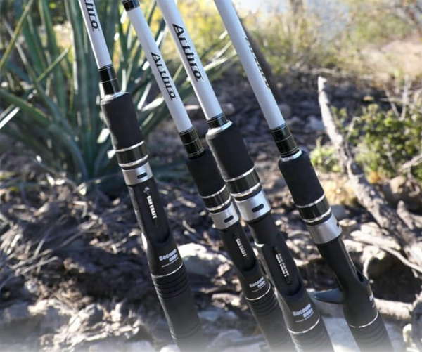 6614f90f093a3.png 6614f90f093a3.png